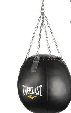 Everlast Wrecking Ball