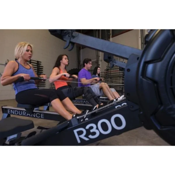 Body-Solid Endurance Indoor Rower R300 - Image 4